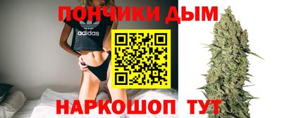гашик Ирбит